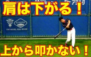 野球科学が導く理想的なスイング軌道と効率的な身体の使い方のサムネイル