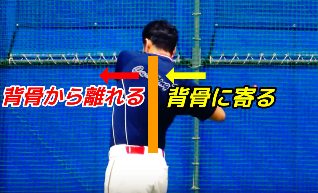 うまくできると、体重移動していくタイミングで左肩甲骨が背骨から離されていき、右肩甲骨は背骨に寄っていきます。