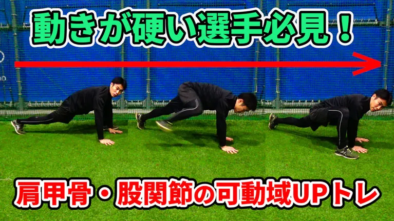 這う動きの中で、関節の可動性を大きくしていこう！のサムネイル