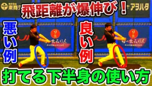 実はよく知らない下半身の使い方を正しく理解する３つのポイントのサムネイル