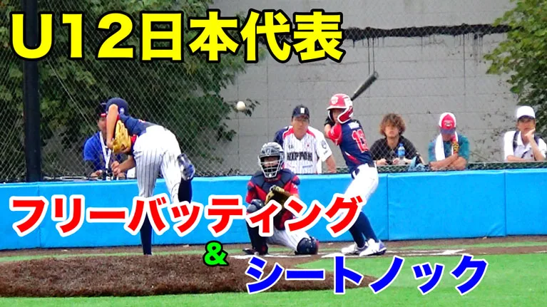 若武者NIPPONはアメリカでどんな練習をしている？のサムネイル