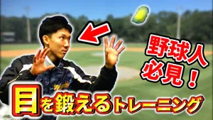 バッティングのミート力を高めるビジョントレーニングのサムネイル