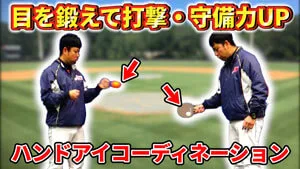 ミート力を上げる目の能力「スポーツビジョン」を鍛えよう！のサムネイル