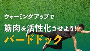 バードドッグで安定力・調整力を高めよう！のサムネイル