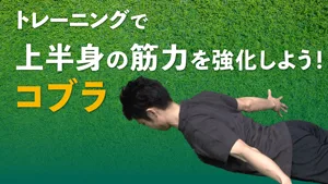 肩甲骨から背中周りの筋肉を鍛える！コブラの目的や正しいやり方を理解しよう！のサムネイル