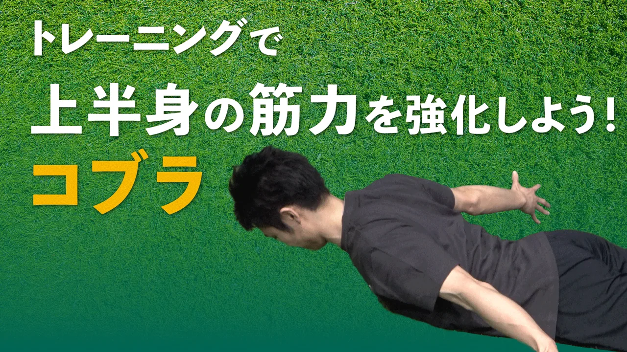 肩甲骨から背中周りの筋肉を鍛える！コブラの目的や正しいやり方を理解しよう！のサムネイル
