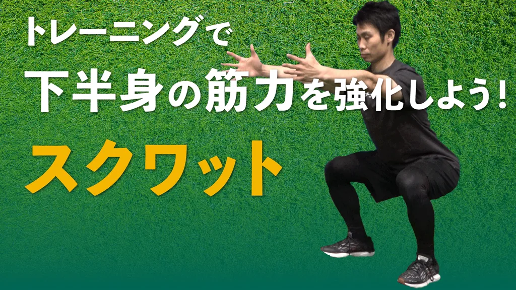 スクワットで全身（特に下半身）の筋力と柔軟性を向上させよう！のサムネイル