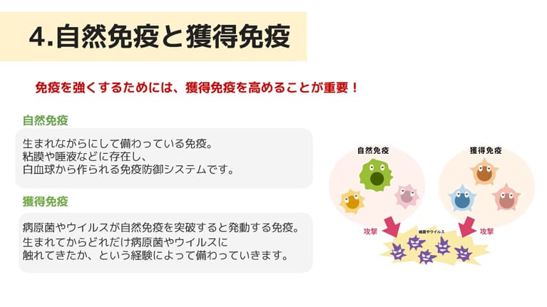 獲得免疫とは何ですか?