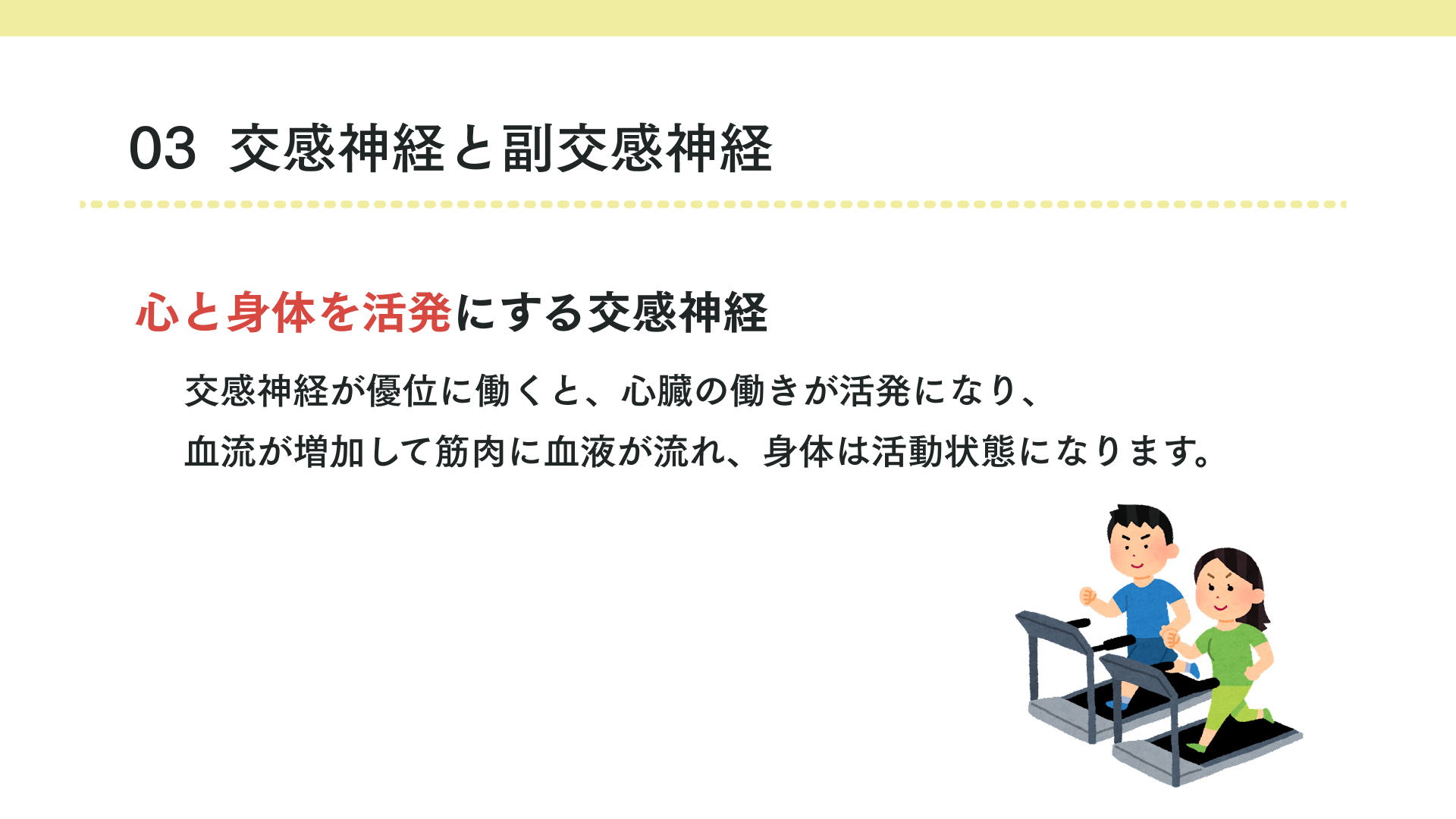 交感神経と副交感神経