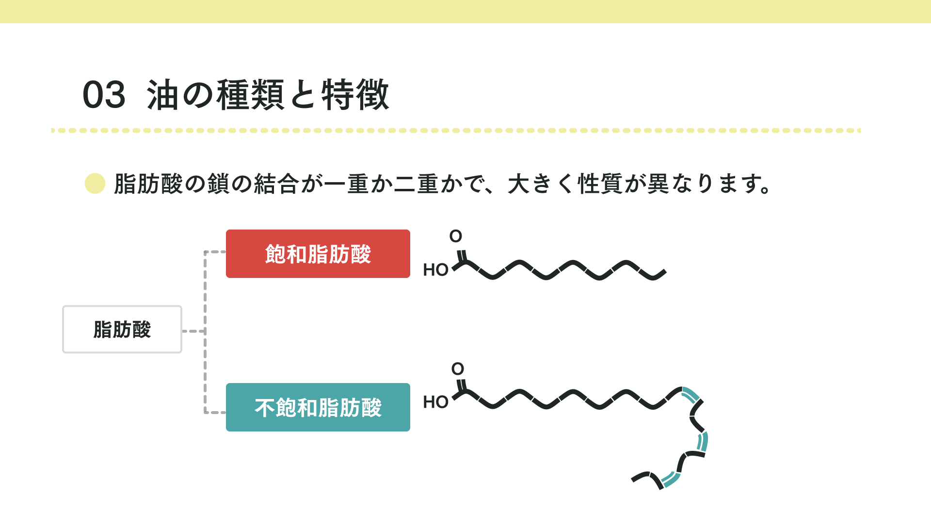 脂肪酸の種類と特徴