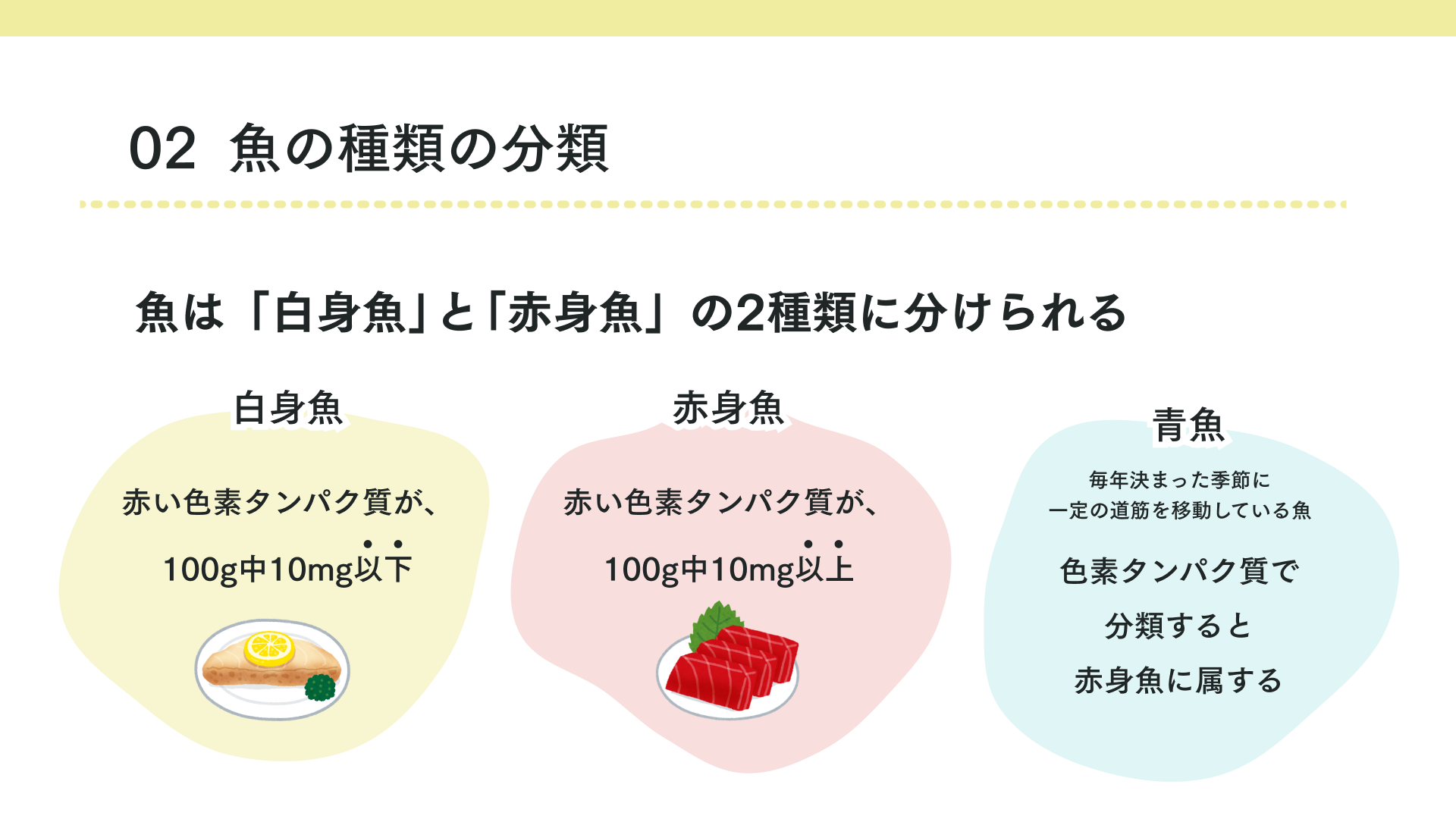 魚の種類の分類