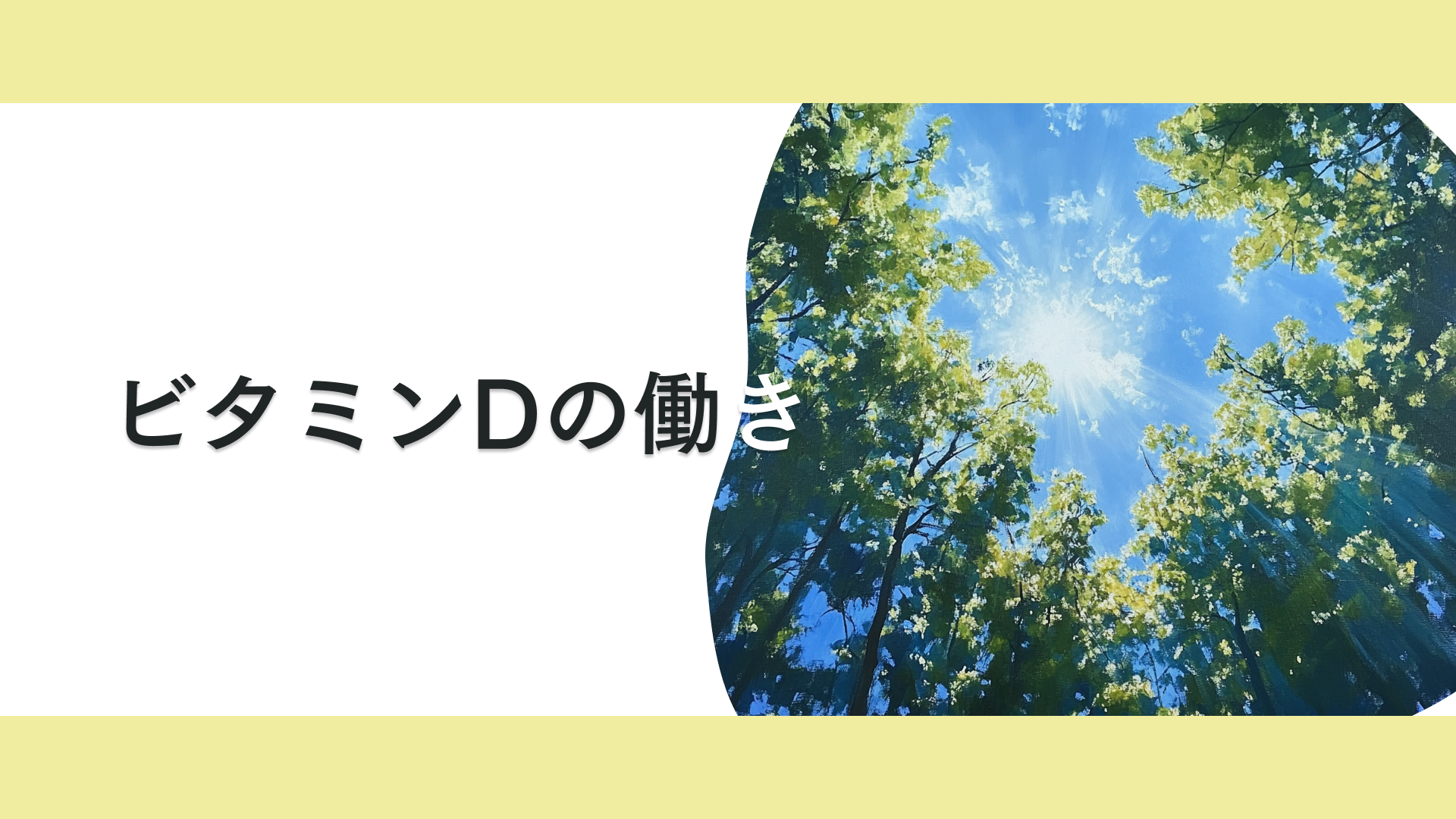 タイトル ビタミンDの働き