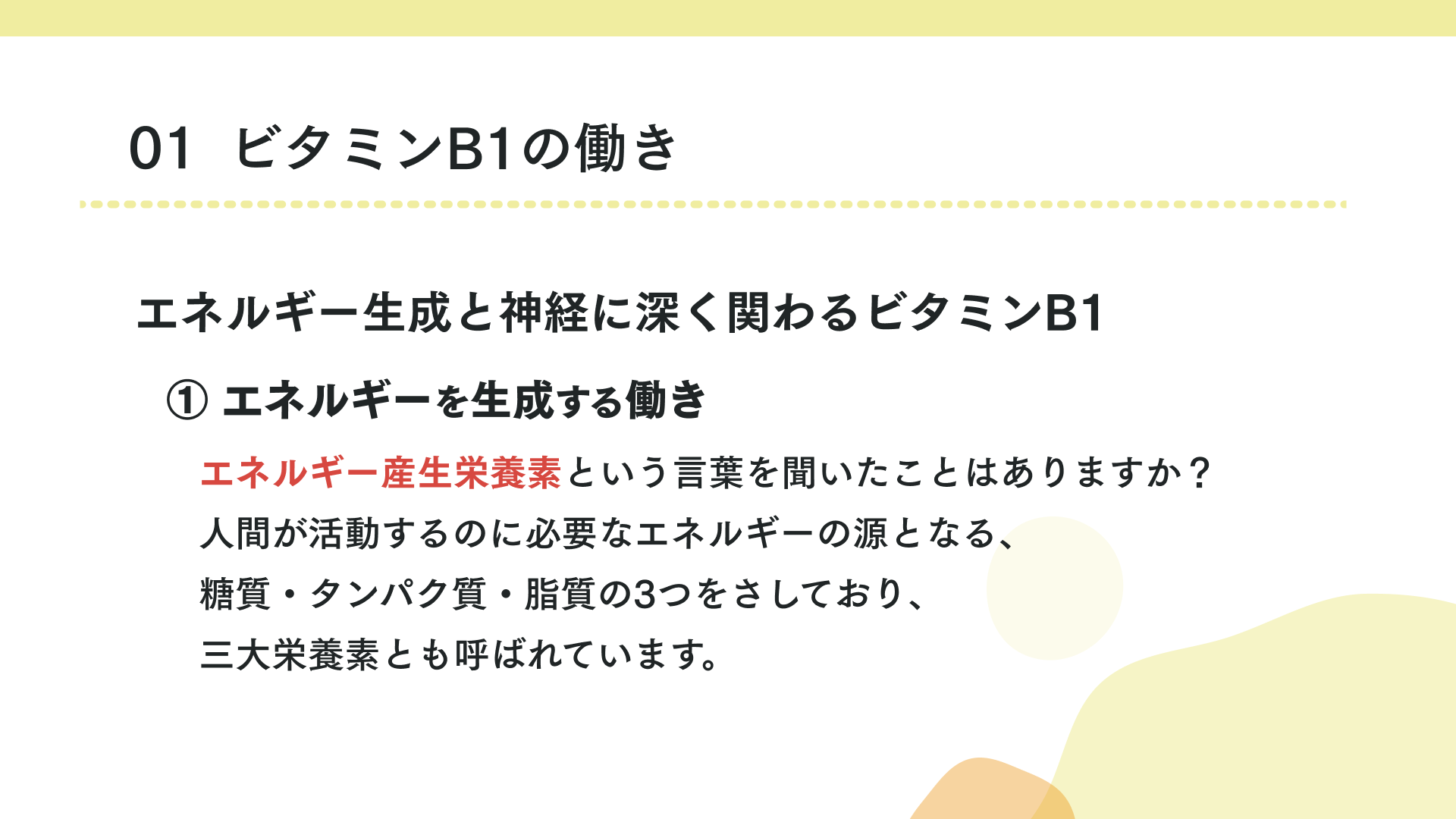 ビタミンB1の働き