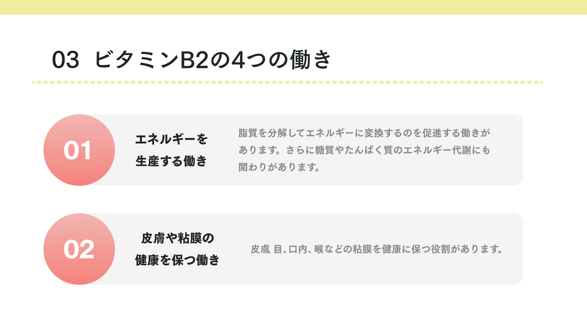 ビタミンB2の4つの働き