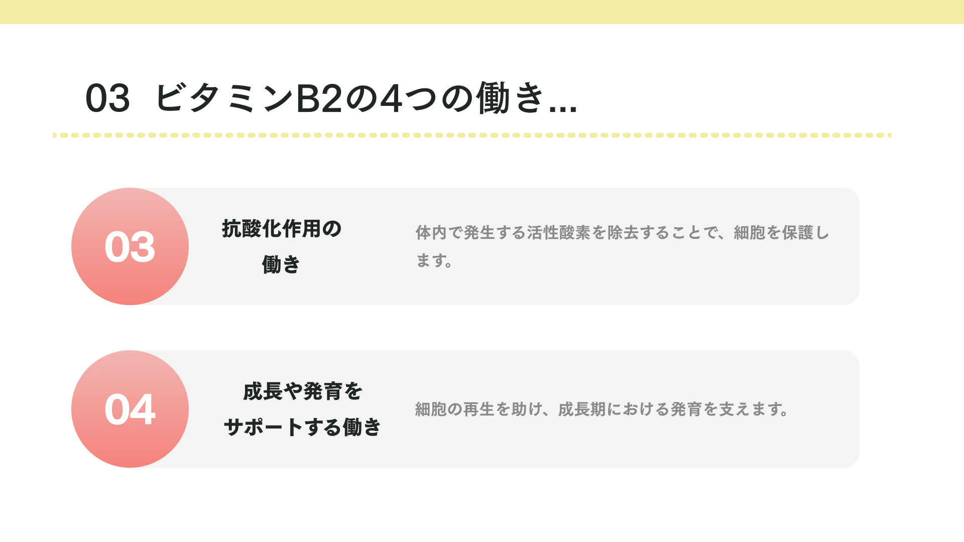 ビタミンB2の4つの働き