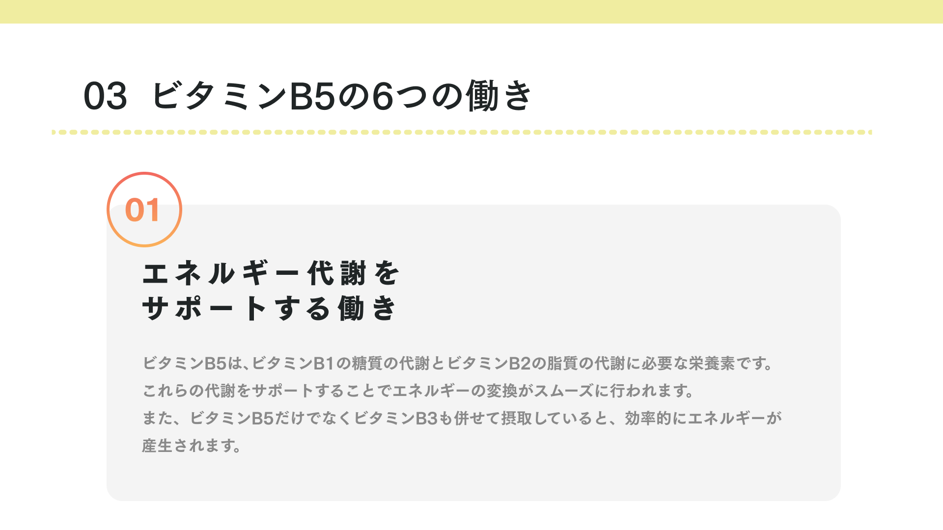 ビタミンB5の働き
