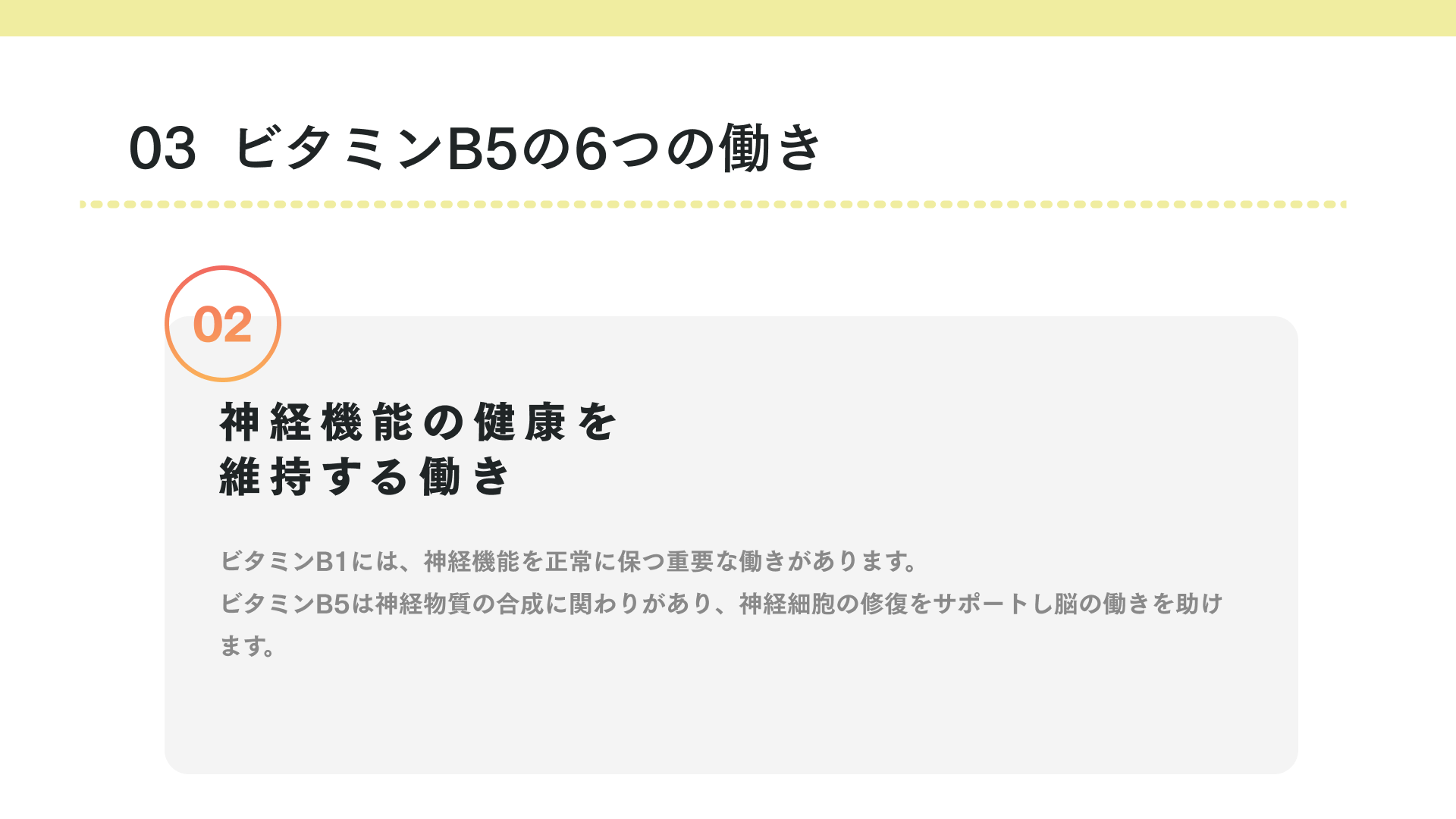ビタミンB5の働き