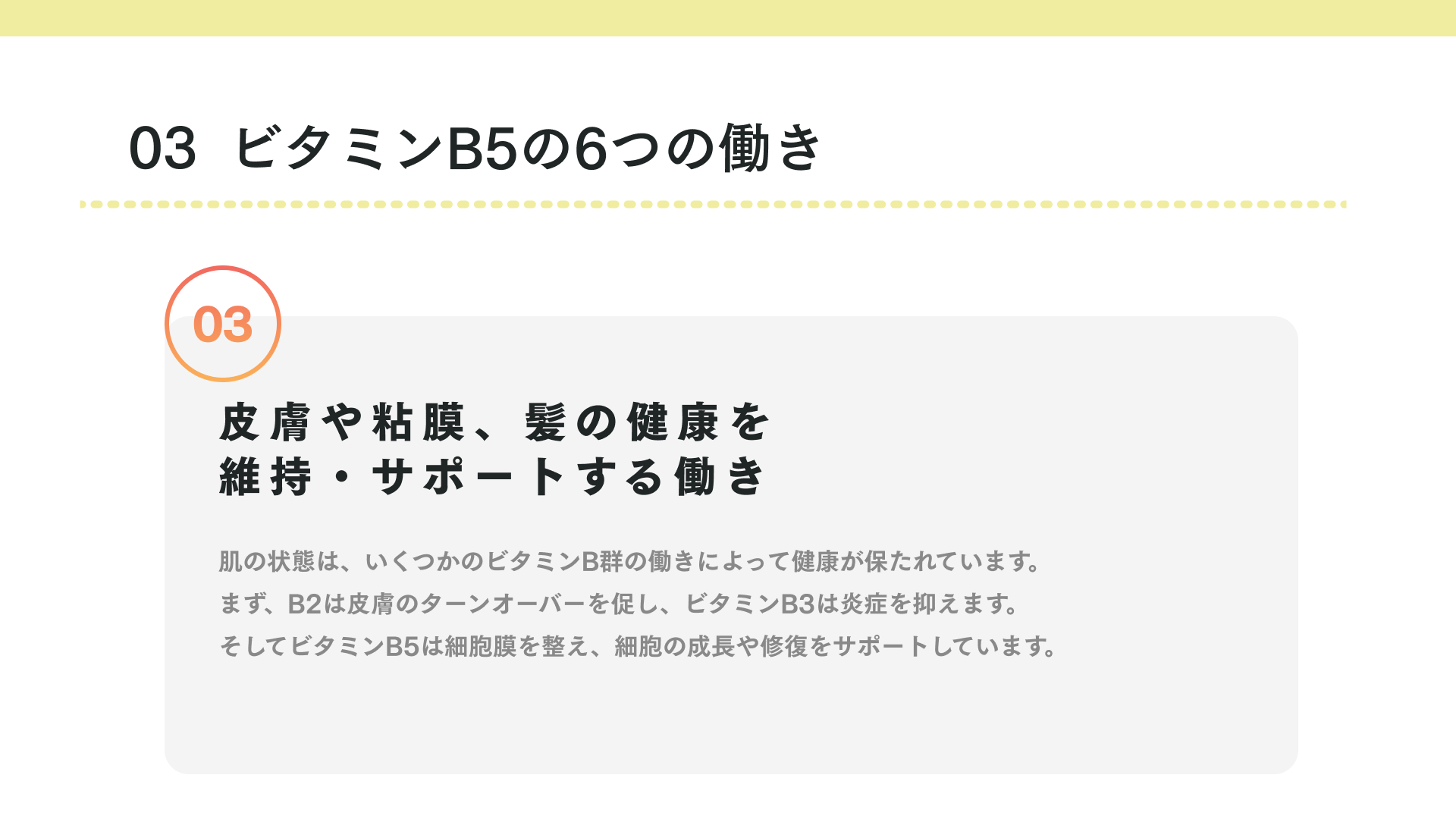 ビタミンB5の働き