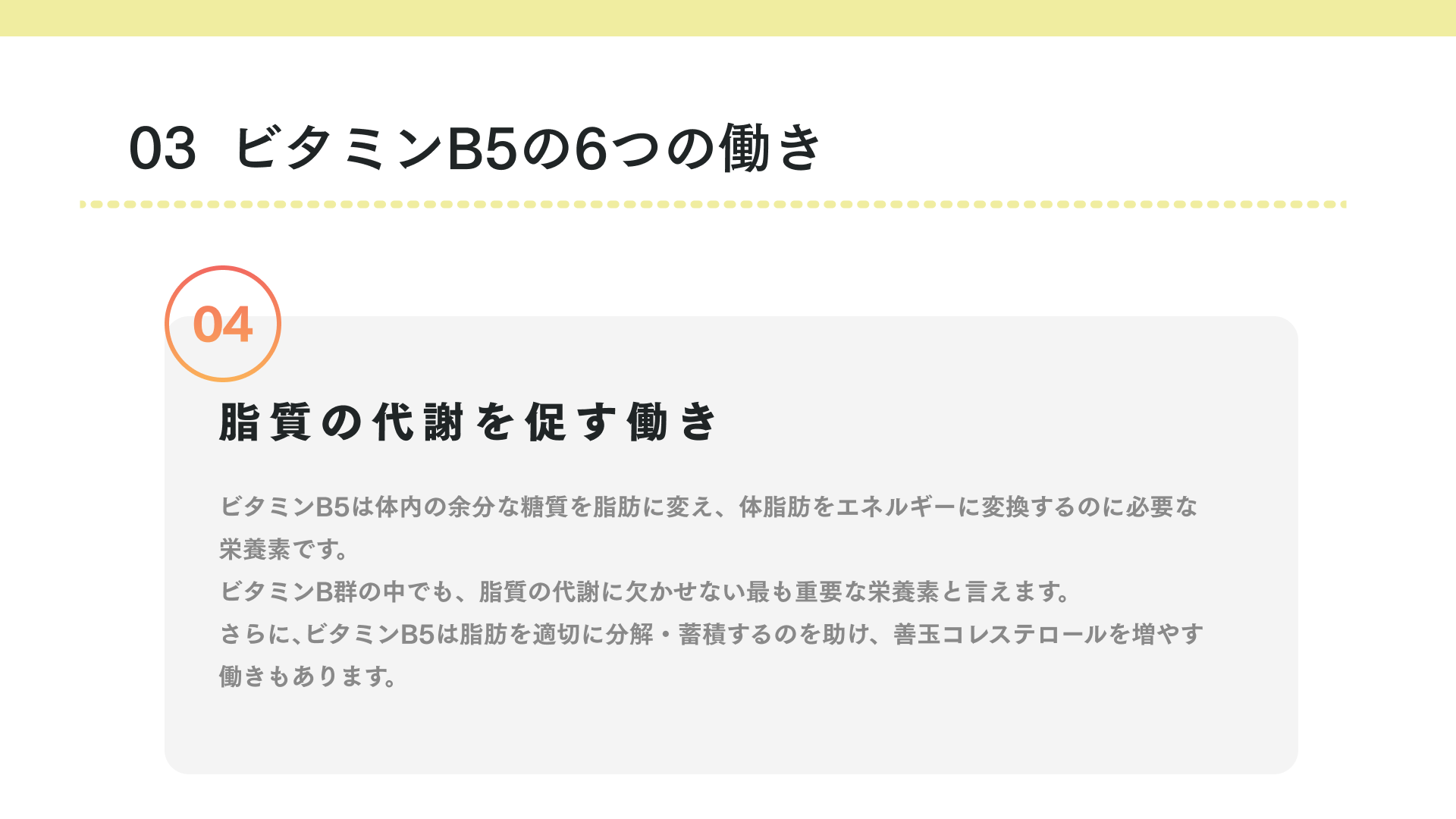 ビタミンB5の働き