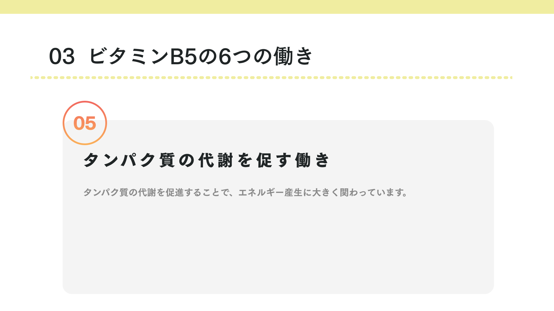 ビタミンB5の働き