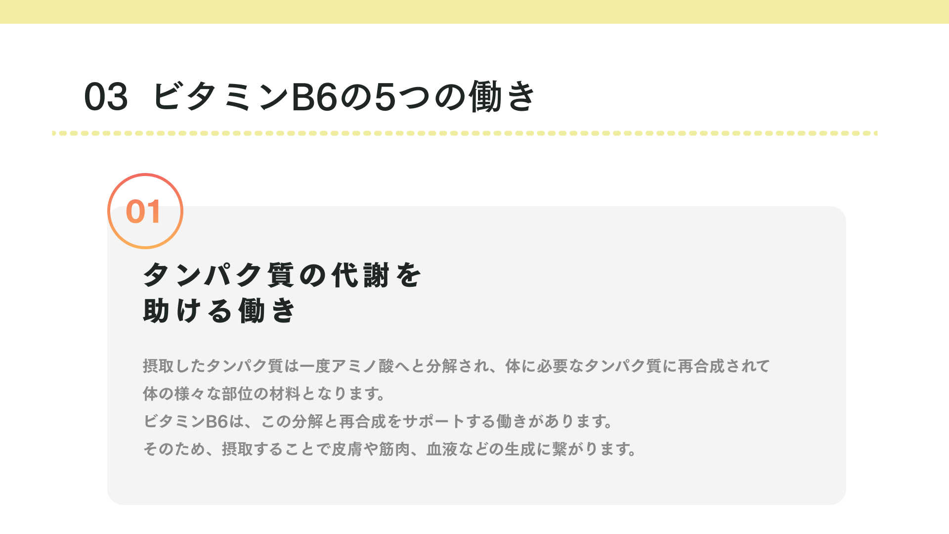 ビタミンB6の働き