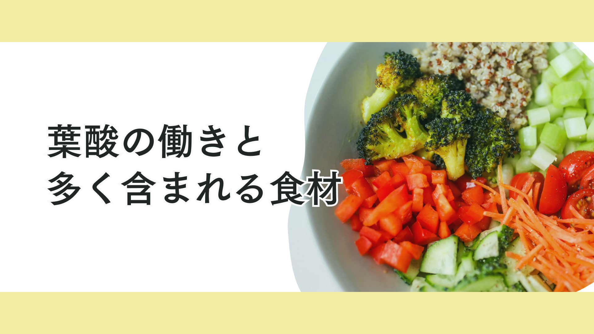 タイトル 成長期必見!アスリートの体をぐんぐん強くする葉酸の摂り方ガイド