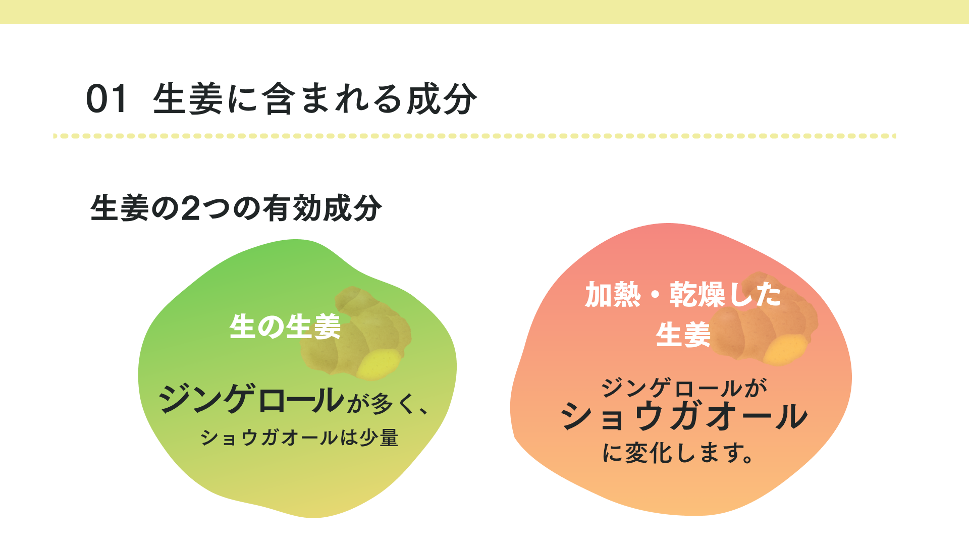 タイトル 生姜に含まれる成分について