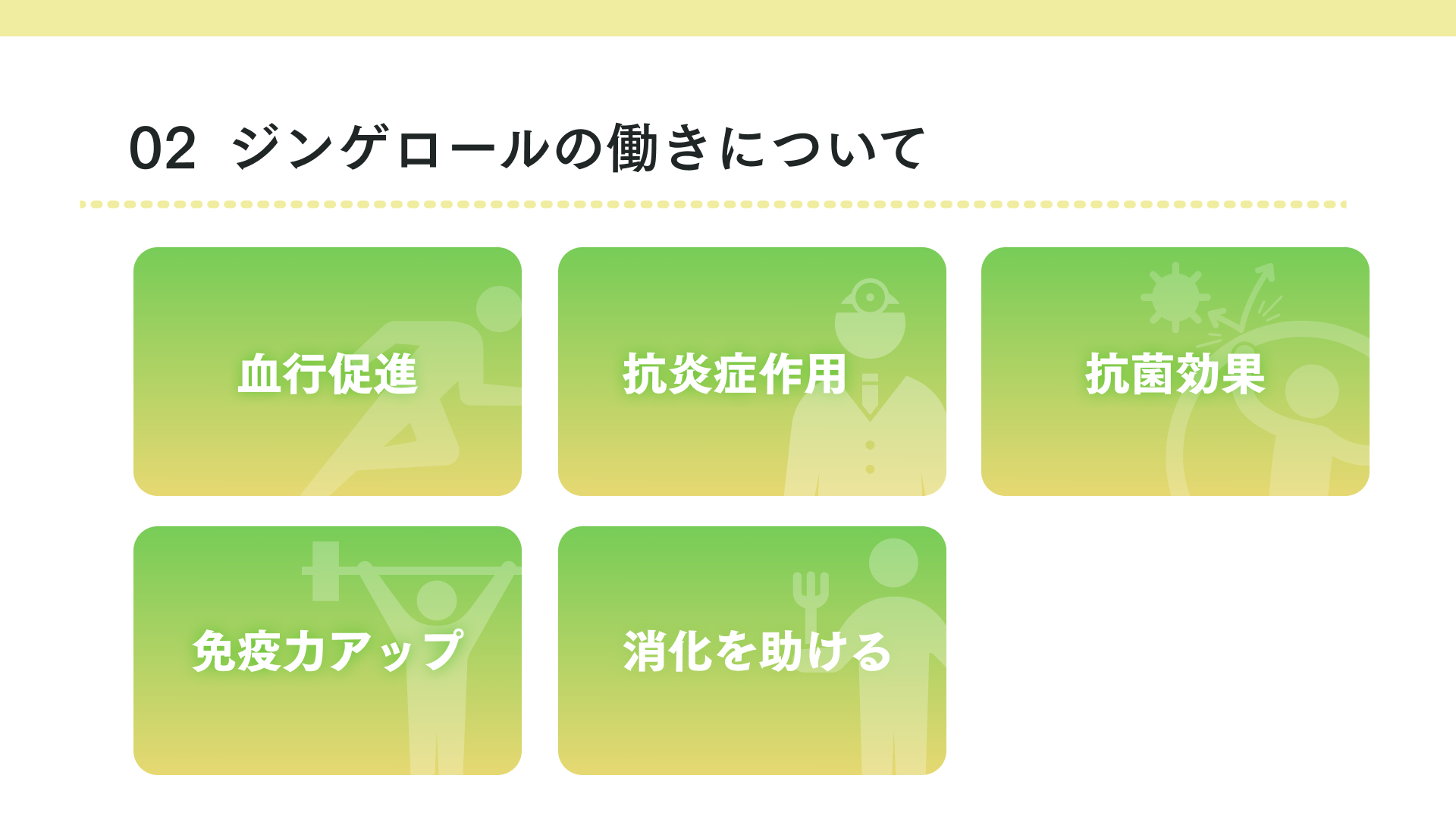 タイトル ジンゲロールの働きについて
