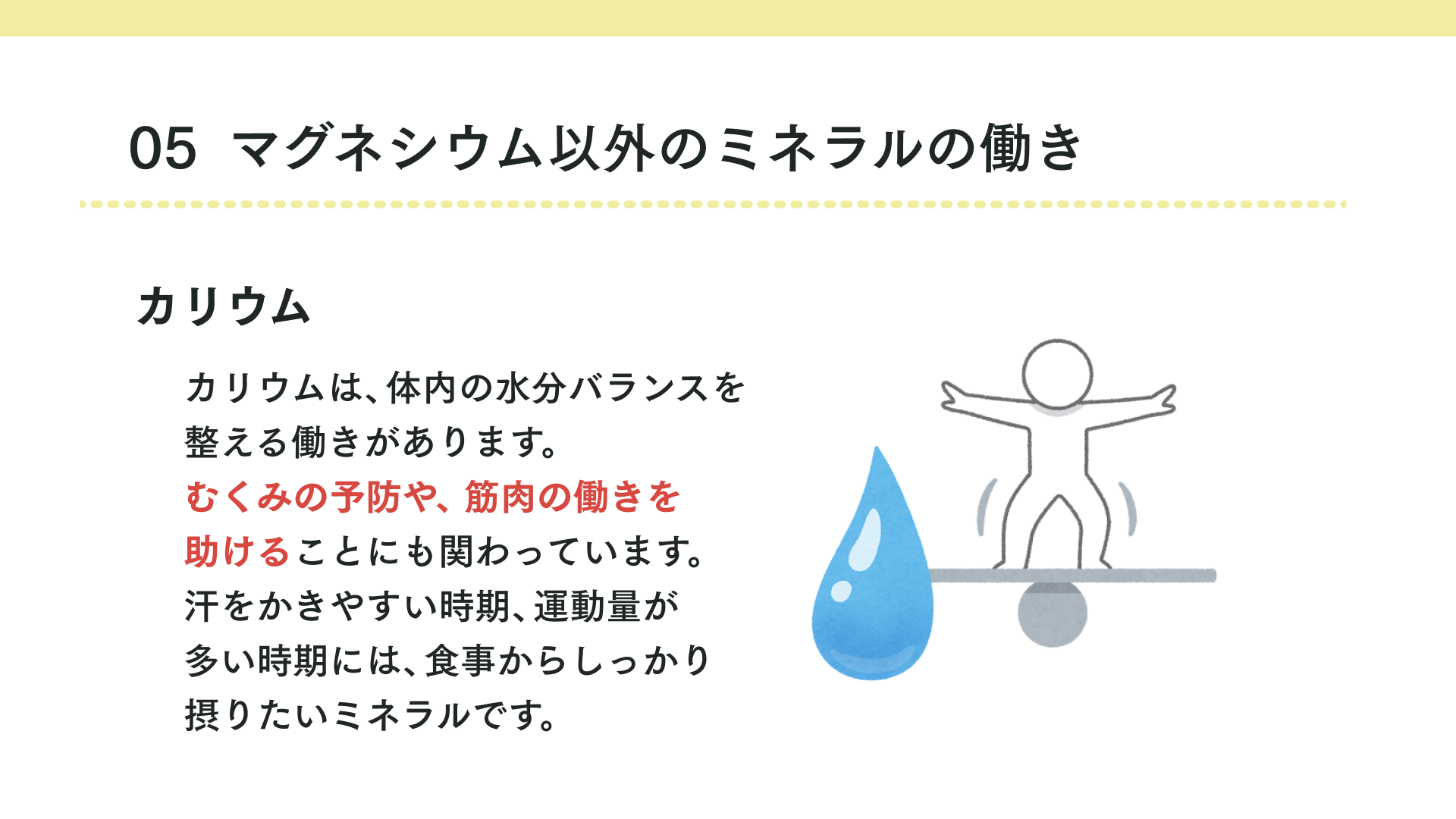 タイトル マグネシウム以外のミネラルの働き