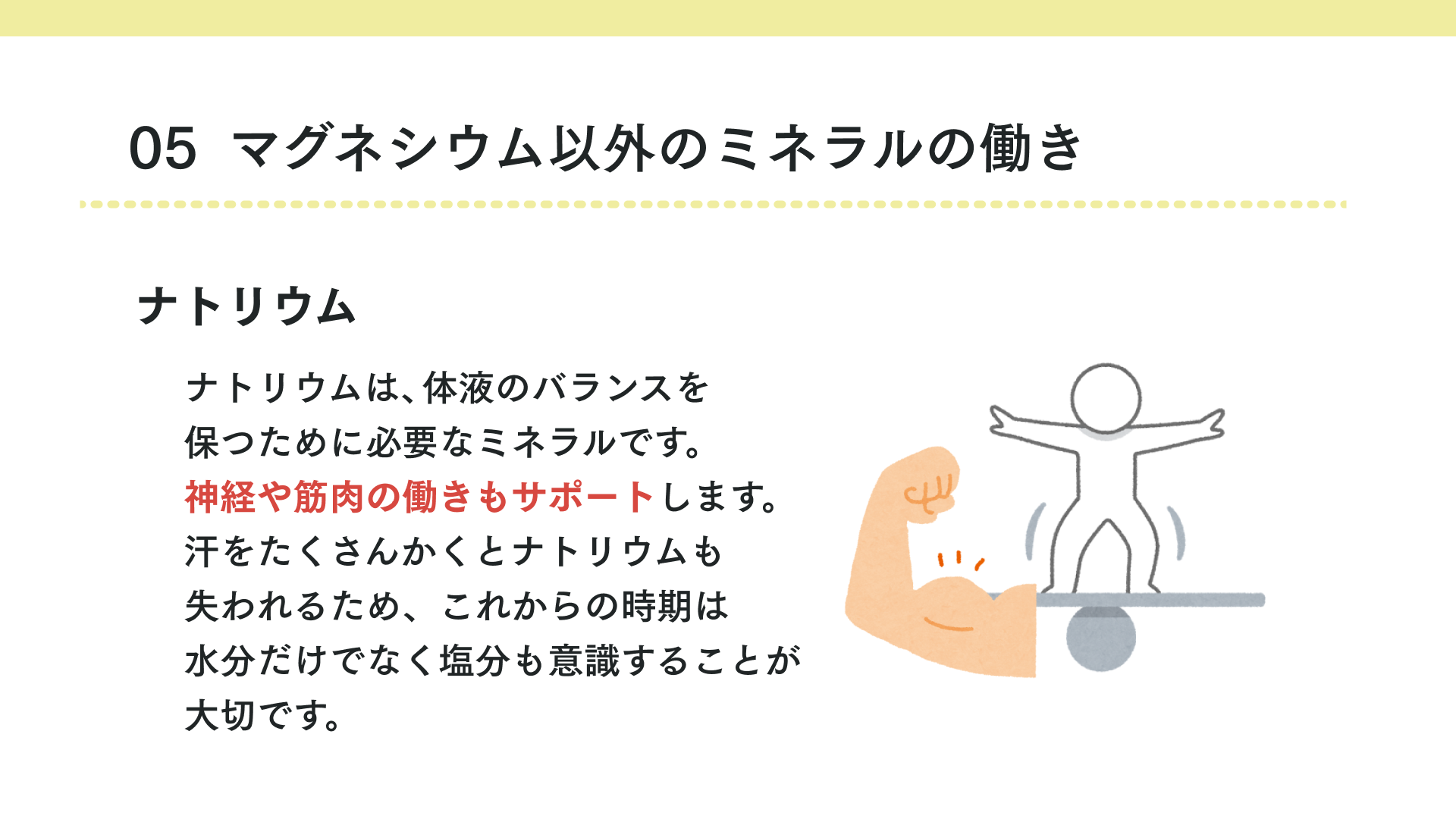 タイトル マグネシウム以外のミネラルの働き