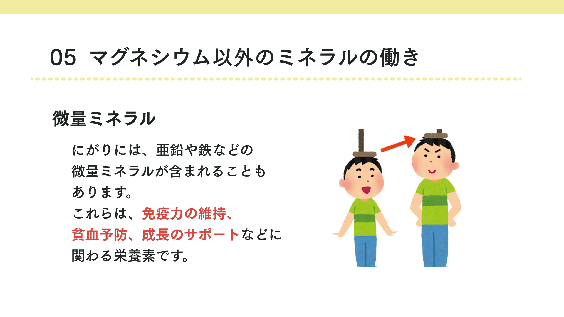 タイトル マグネシウム以外のミネラルの働き